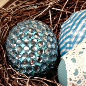 Nest6headerFeatured