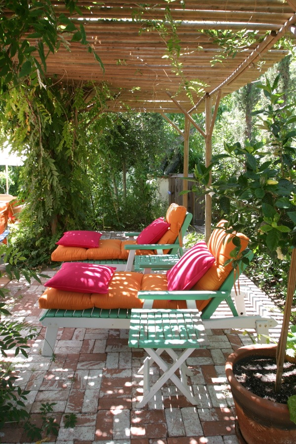 Beautiful Patio and Trellis