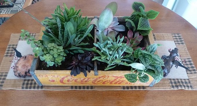 https://girlinthegarage.net/wp-content/uploads/2013/05/14-succulents.jpg